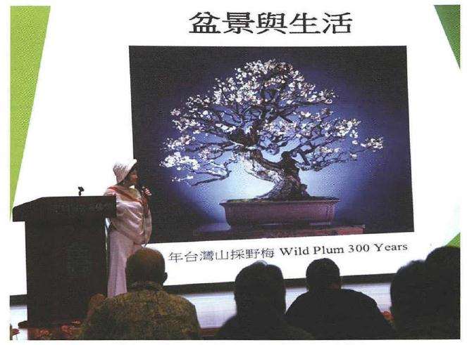 2019年 中国赏石盆景艺术研讨会成功举行