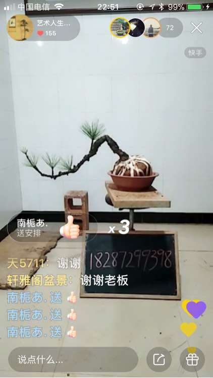云南下山松下山桩
