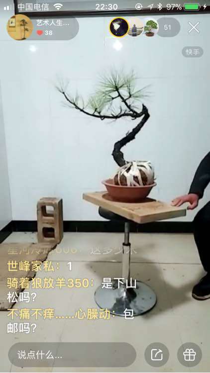 云南下山松下山桩