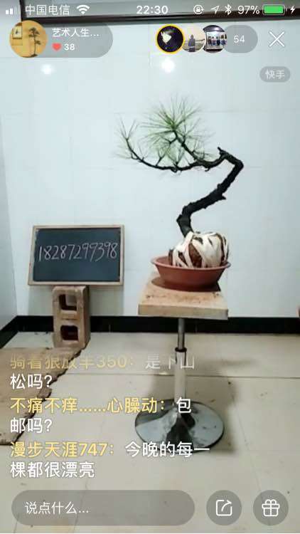 云南下山松下山桩