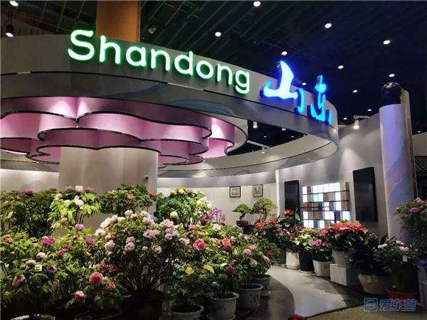 东营26个盆花盆景作品北京世园会上获奖