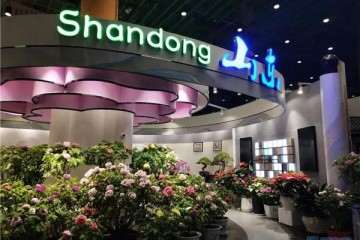 东营26个盆花盆景作品北京世园会上获奖