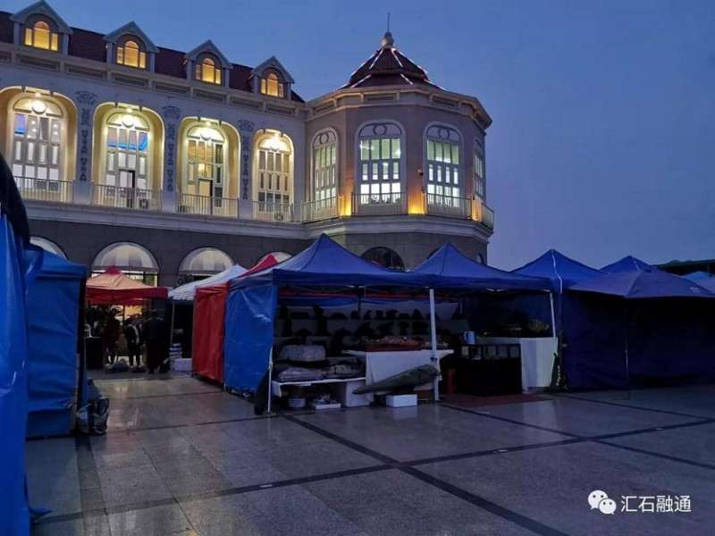 天津首届运河杯盆景赏石艺术展