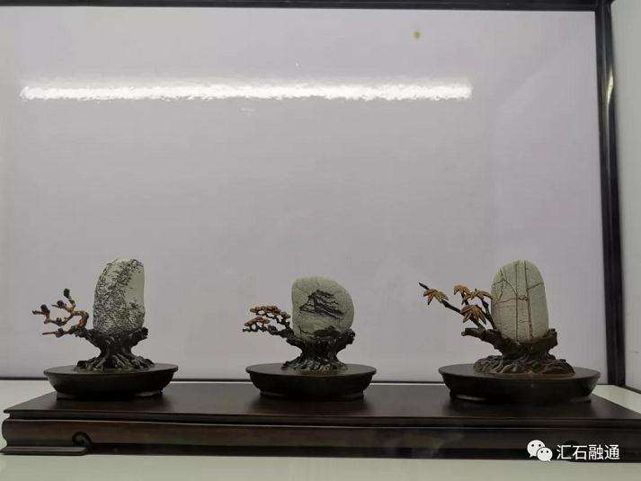天津首届运河杯盆景赏石艺术展