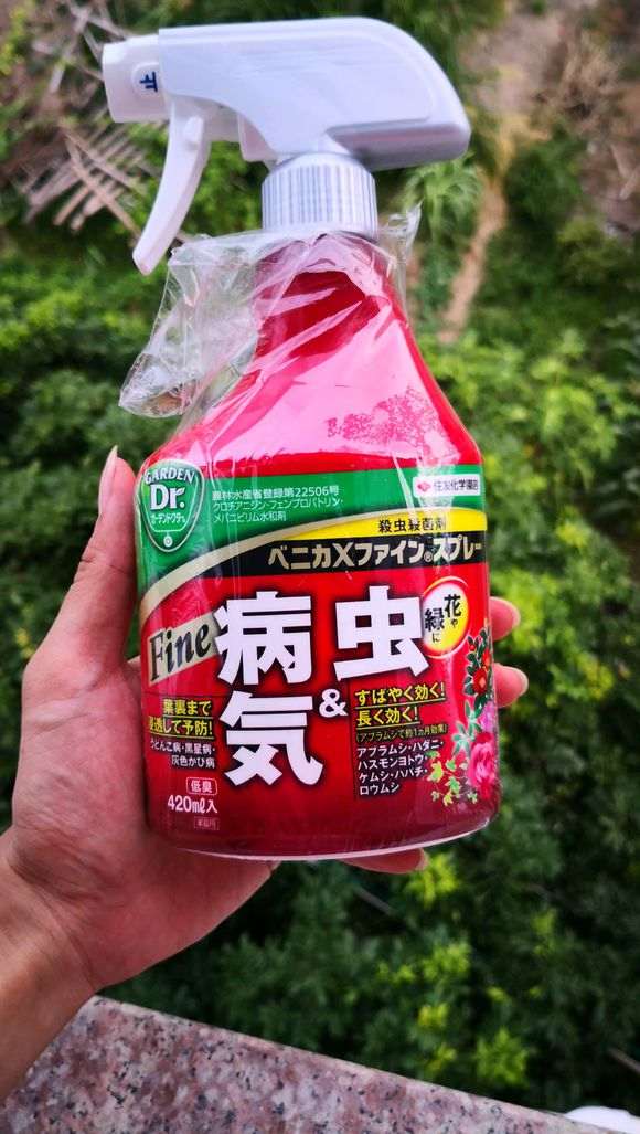 真柏下山桩长红蜘蛛用什么药效果最好