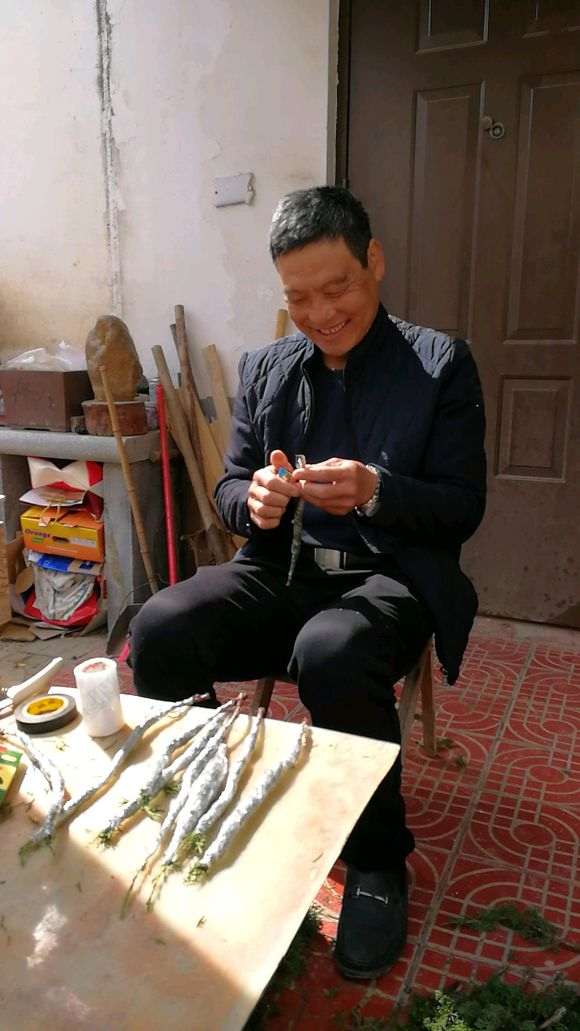 图解 怎么缠膜嫁接龙柏下山桩的方法