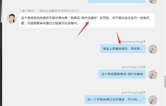 为什么淘宝说真柏下山桩涉嫌植物风险