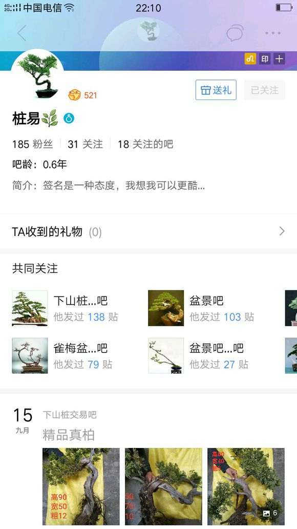 云南货说是真柏下山桩 是不是真的 图片