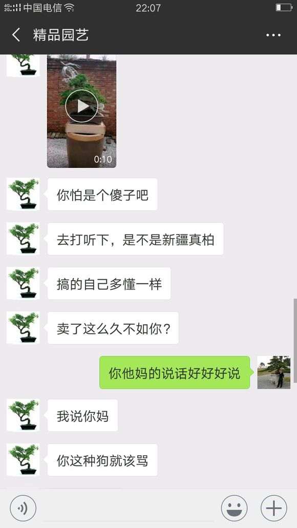 云南货说是真柏下山桩 是不是真的 图片