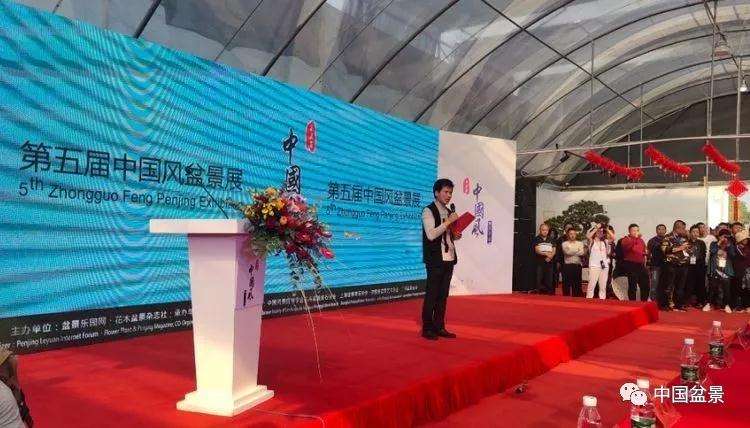 第五届中国风盆景展盛大开幕