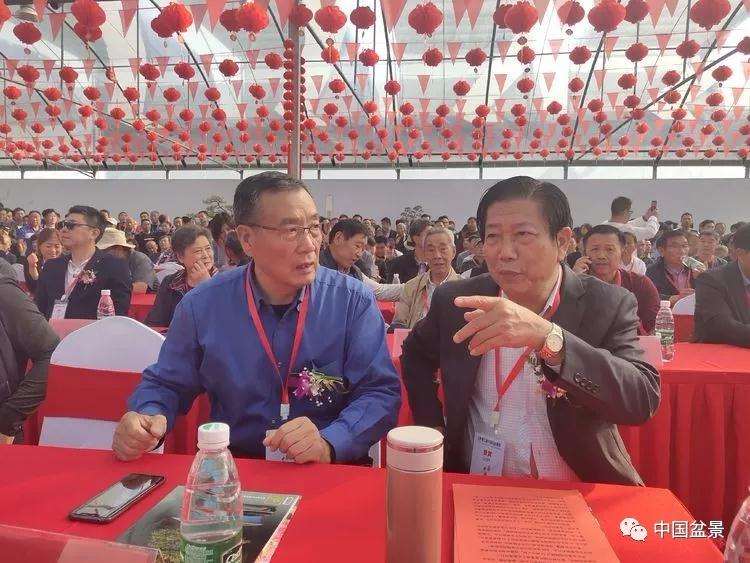 第五届中国风盆景展盛大开幕