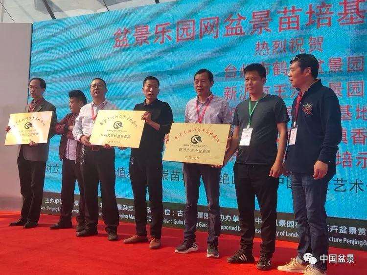 第五届中国风盆景展盛大开幕