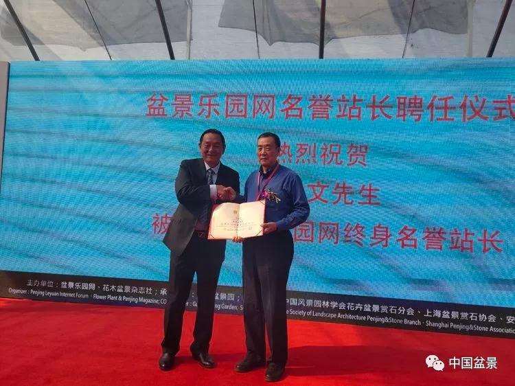 第五届中国风盆景展盛大开幕