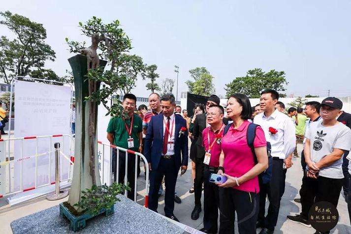 第十二届粤港澳台盆景艺术博览会