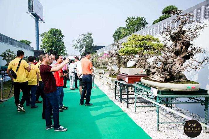 第十二届粤港澳台盆景艺术博览会