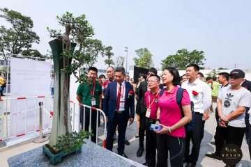 第十二届粤港澳台盆景艺术展隆重开幕