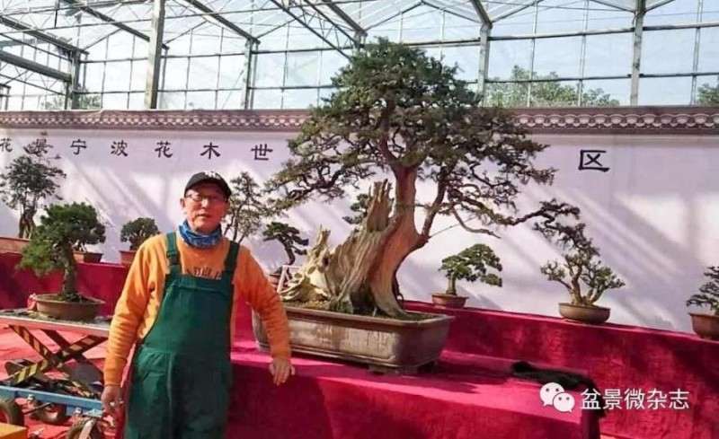 宁波花卉盆景分会常务副秘书长 李建国