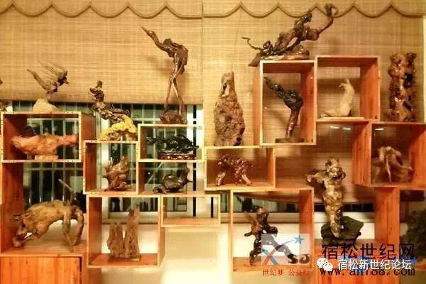 2019宿松县首届盆景根艺赏石展