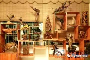 2019宿松县首届盆景根艺赏石展