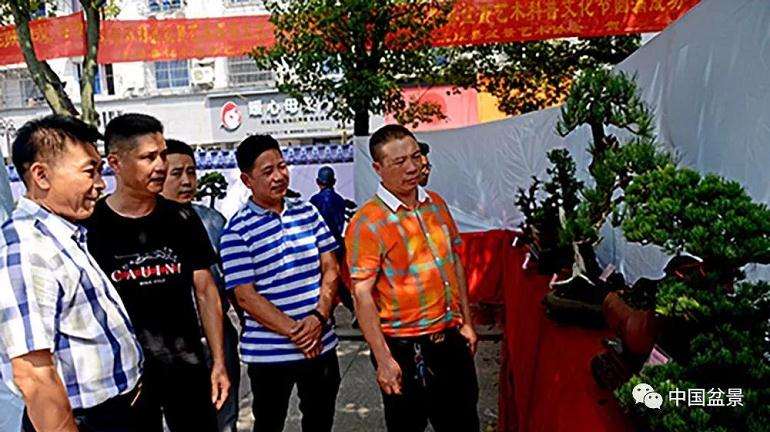 平阳县第二届盆景艺术科普文化节