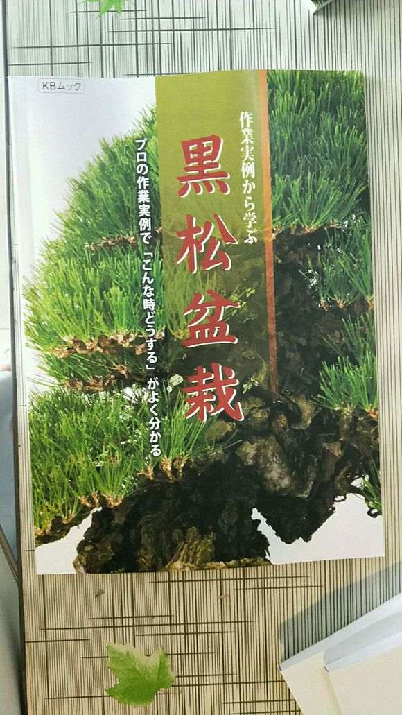 真柏下山桩怎么造型讲解的书籍 图片