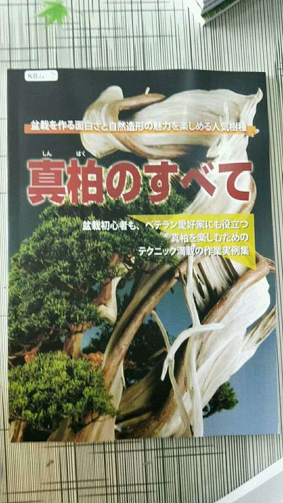 真柏下山桩怎么造型讲解的书籍 图片