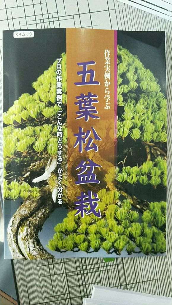 真柏下山桩怎么造型讲解的书籍 图片