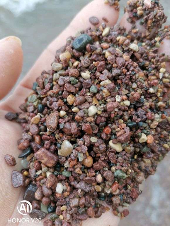 珍珠柏下山桩用海沙可以吗 图片