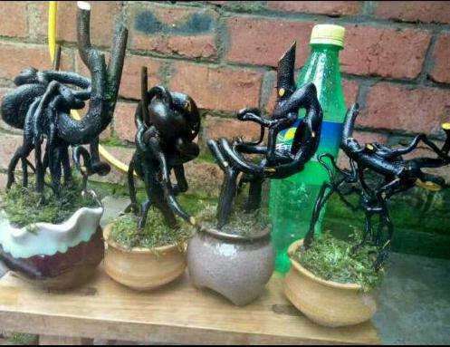 听说金蛋子下山桩 不好活是真的吗？