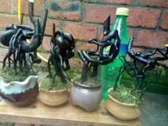 听说金蛋子下山桩 不好活是真的吗？