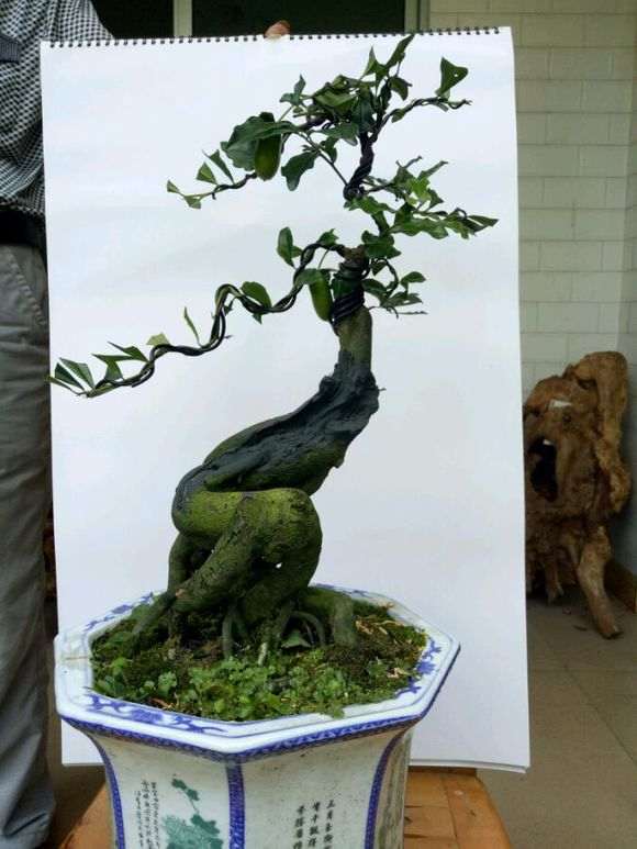 金蛋子下山桩有市场前景吗 大家来谈谈