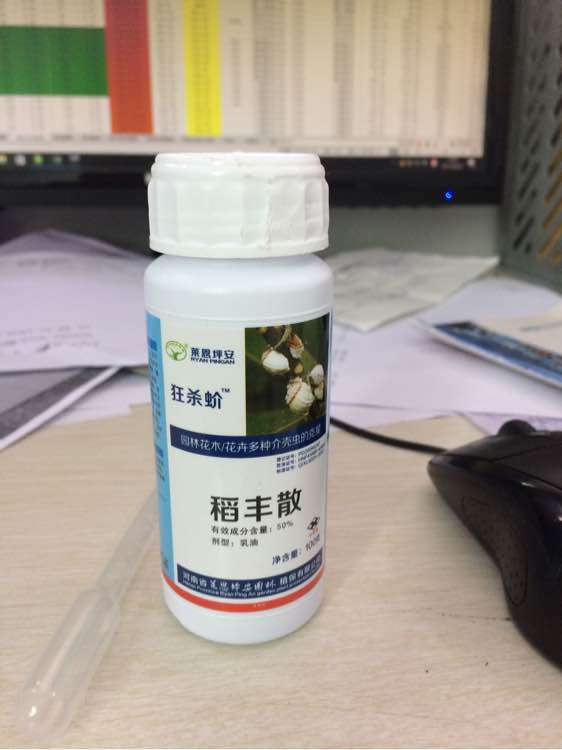 金蛋子下山桩叶子上有白色斑点 怎么办