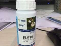 金蛋子下山桩叶子上有白色斑点 怎么办