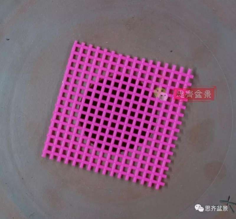 怎么用铝线固定盆景盆底漏网