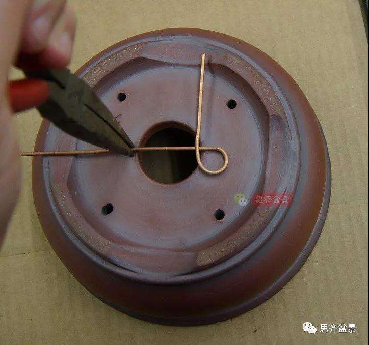 怎么用铝线固定盆景盆底漏网