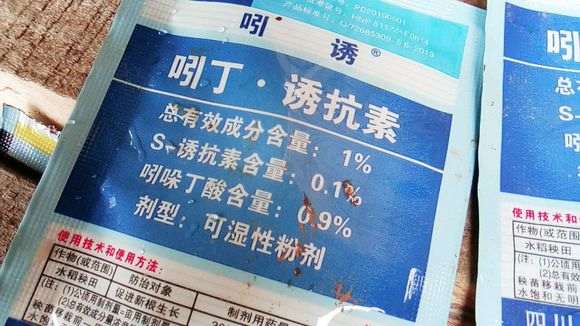 主干可能有10公分的金蛋子下山桩