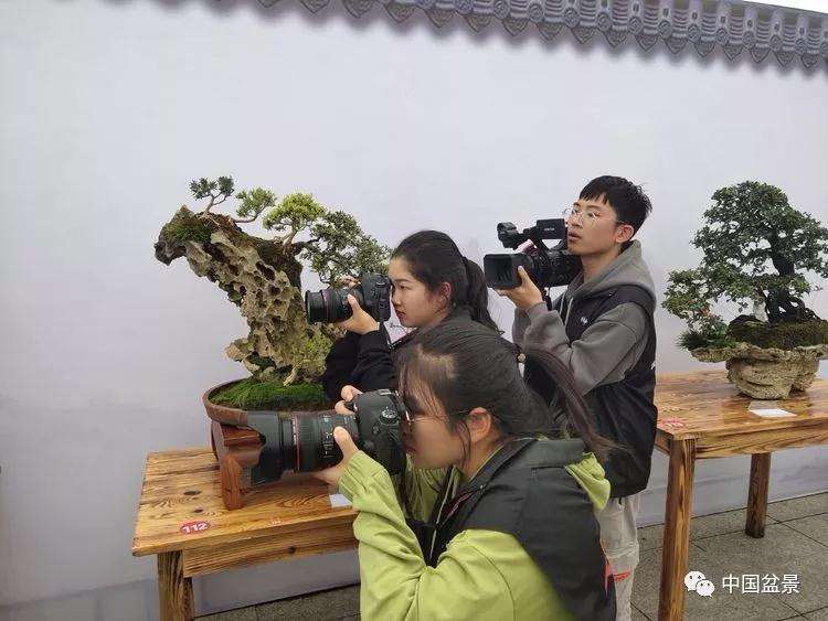 2019中国张家界盆景创业会
