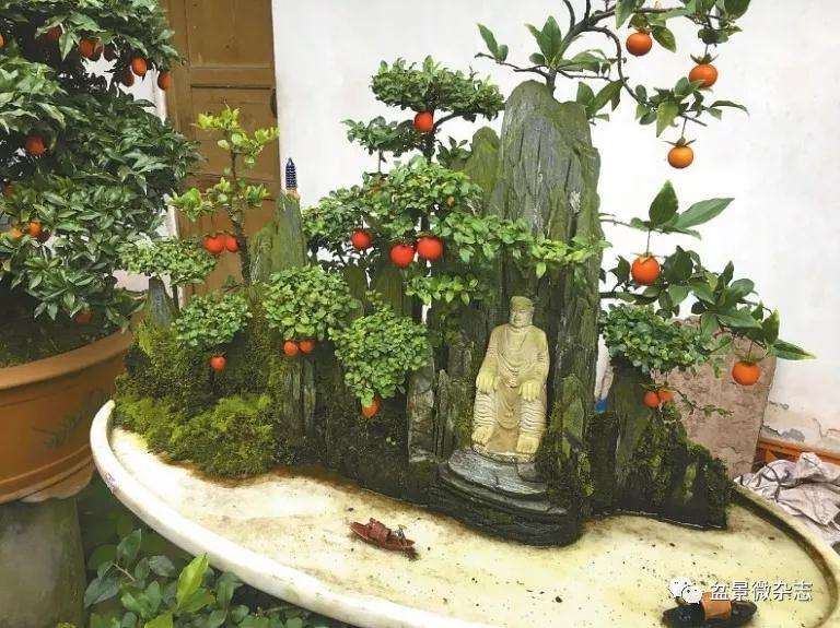 乐山川派盆景艺术家 谢学勤