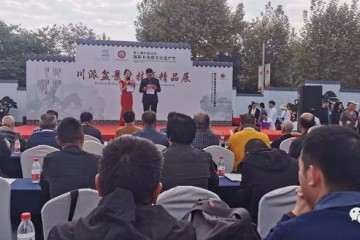 第七届高县盆景艺术展