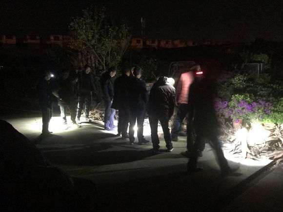 本地的金蛋子下山桩交易市场