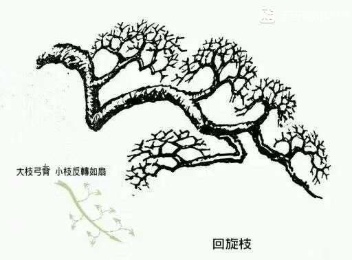 图解 杜鹃下山桩怎么造型的方法