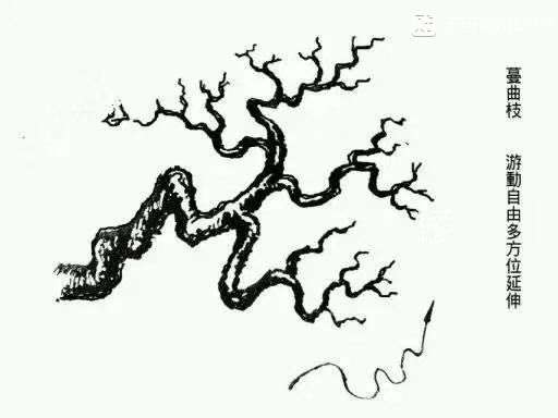 图解 杜鹃下山桩怎么造型的方法