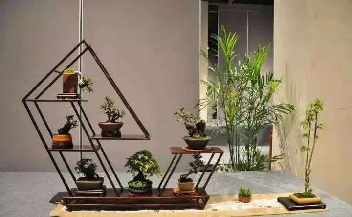 2019年绍兴盆景文化艺术展明天开展