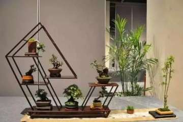 2019年绍兴市盆景文化艺术展明天开展