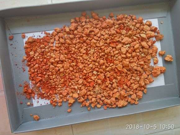 杜鹃下山桩25元一棵 买贵吗 图片