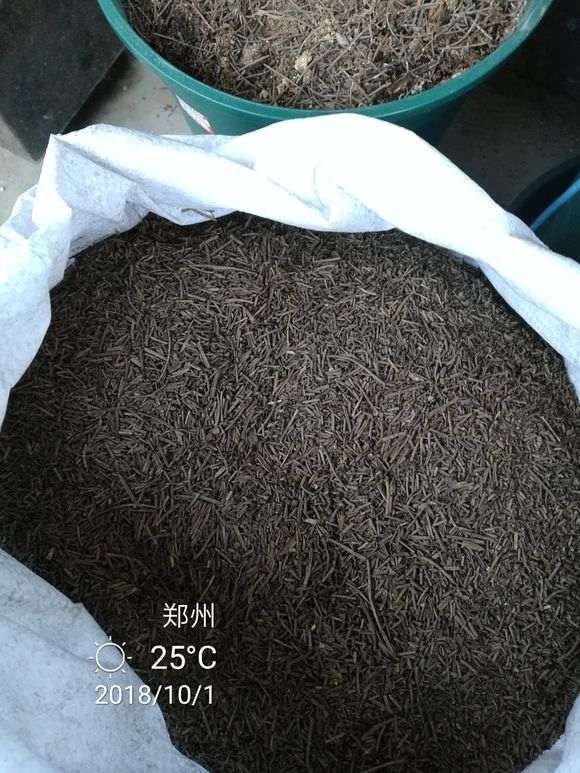 杜鹃花下山桩怎么洗根上盆的方法