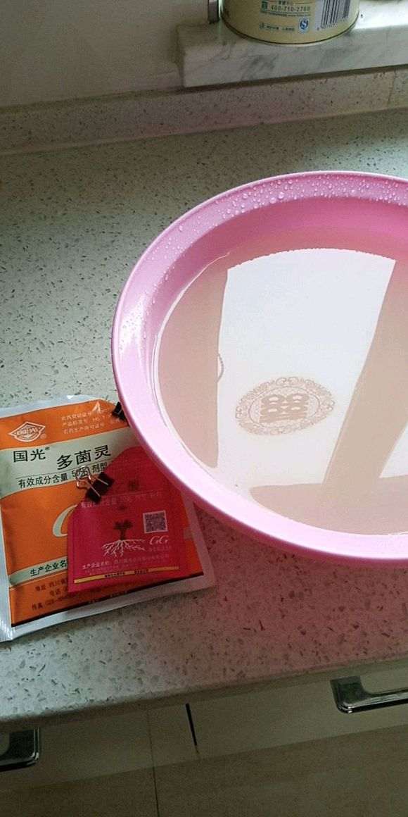 图解 椰糠杜鹃下山桩怎么洗根的方法