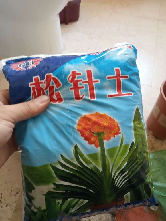 图解 椰糠杜鹃下山桩怎么洗根的方法