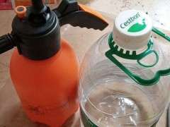 楼主 你洗根的杜鹃下山桩可以吗了