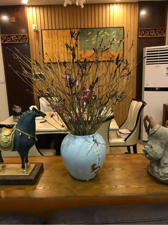 野生杜鹃下山桩冒似枯枝 插花瓶开花